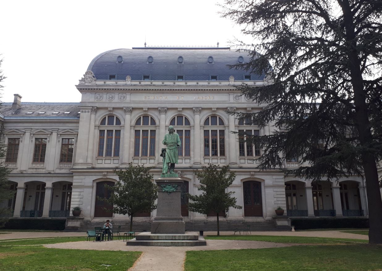 fac lyon droit