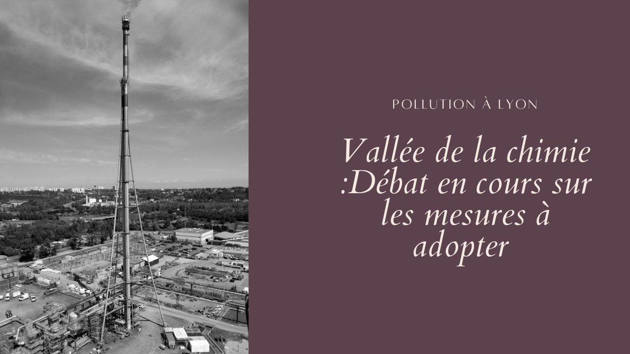 pollution-lyon-vallee-de-la-chimie