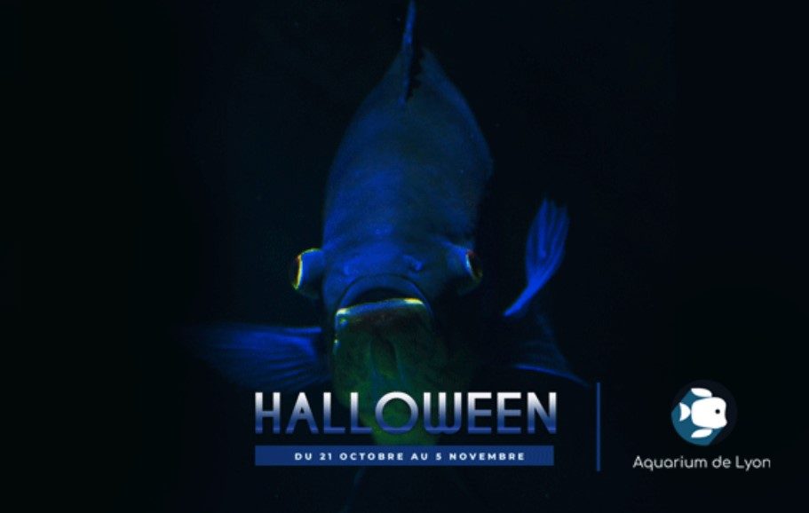 halloween-aquarium-lyon-2023
