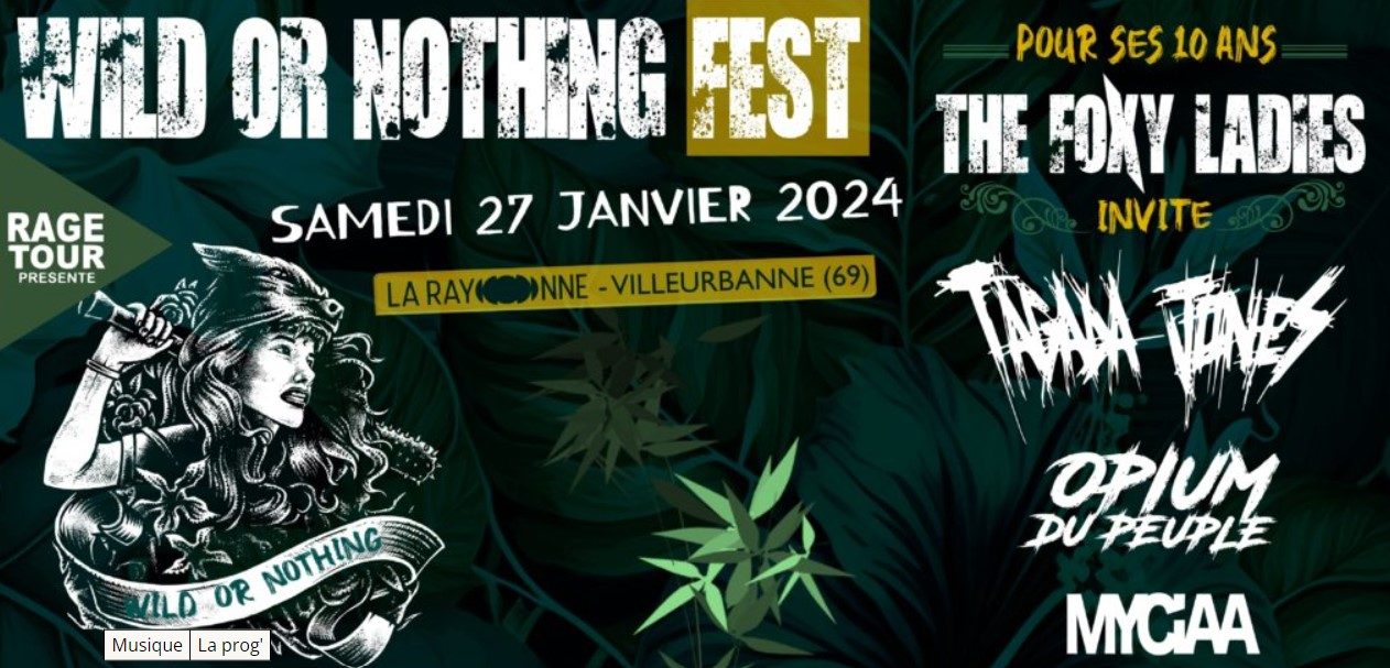wild-or-nothing-fest-concert-lyon