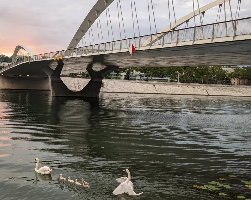 se baigner saone rhone lyon